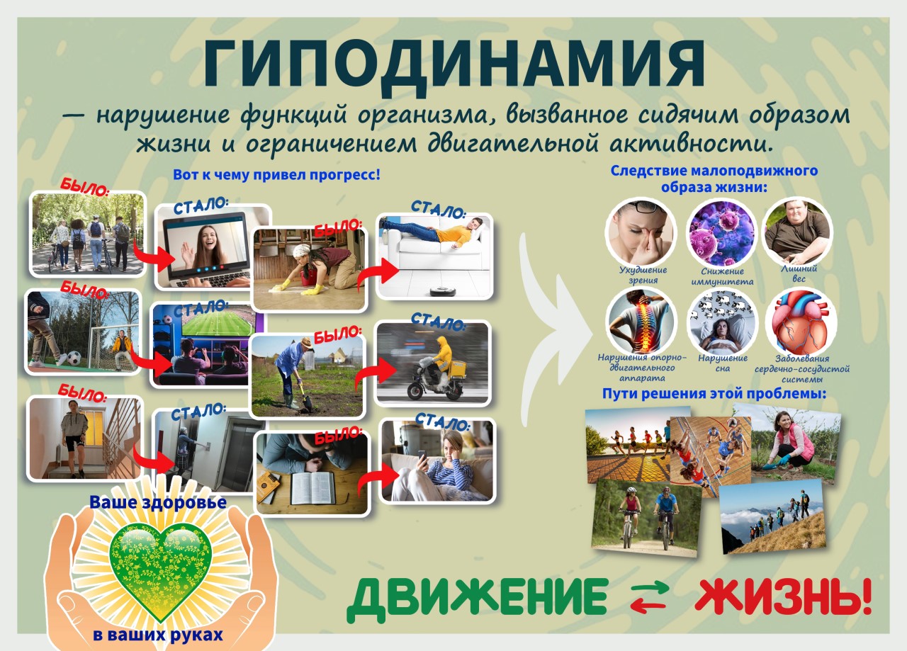 На Дону жить, здоровым быть!